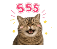 856427578