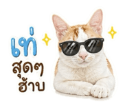 856427643