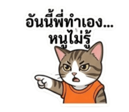 856428227