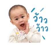 856429631