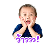 856429655