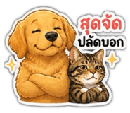 856432361