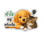856432362