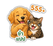 856432364