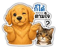 856432365