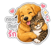 856432369