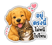 856432370
