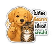 856432372