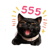 856432939