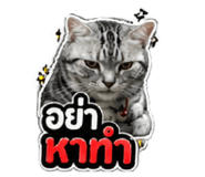 856433671
