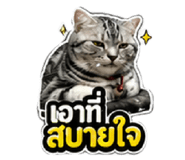 856433676