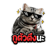 856433681
