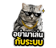 856433682