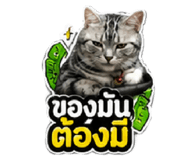 856433683