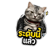 856433687