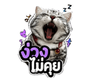856433689