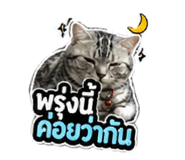 856433695