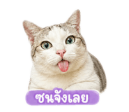856433752