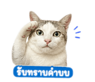 856433759