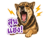 856434360