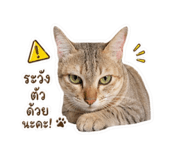 856435924