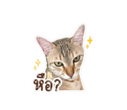 856435927