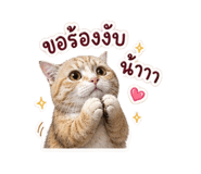 856435998