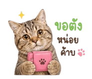856436432