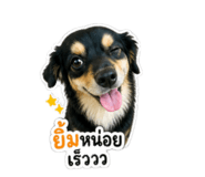 856437190