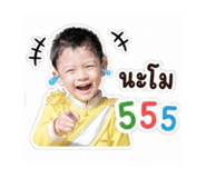 856437331