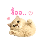 856437642