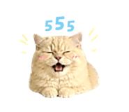 856437648