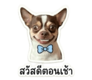 856438216