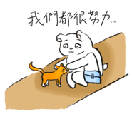 856440119