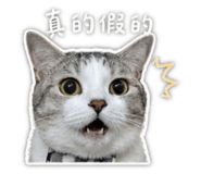 856441505