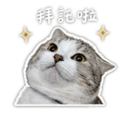 856441506
