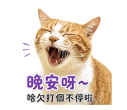 856441995