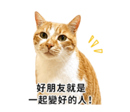 856441998