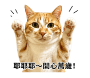 856442000