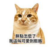856442003