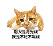 856442016