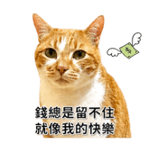 856442019