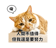 856442020