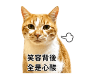 856442022