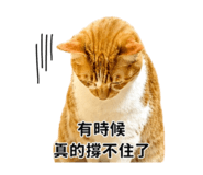 856442024