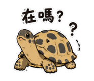 856442606
