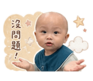 856443265
