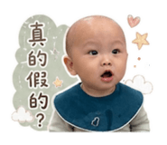 856443272