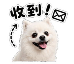 856443561