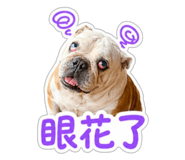 856444832
